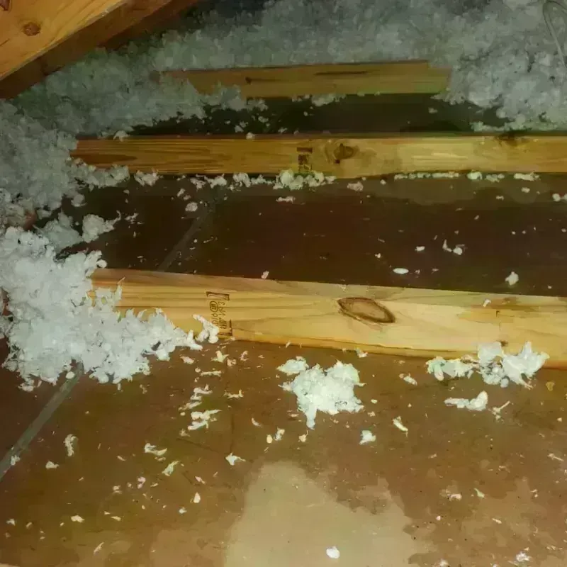 Attic Water Damage in Oak Grove, OR