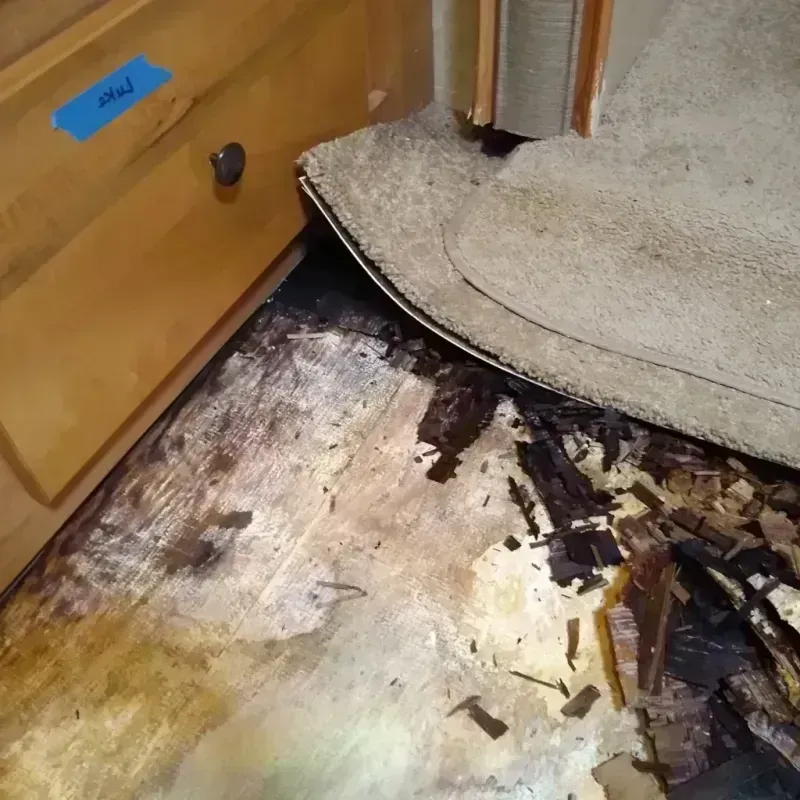 Best Wood Floor Water Damage Service in Oak Grove, OR